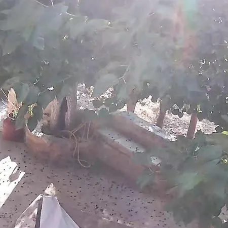 Apartment Authentic Crete-village Vibes Vryses