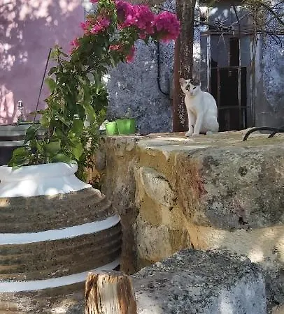 Authentic Crete-village Vibes Vryses